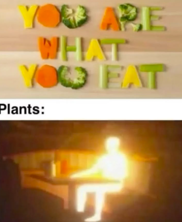 YOU ARE WELT YOU EAT Plants: T
