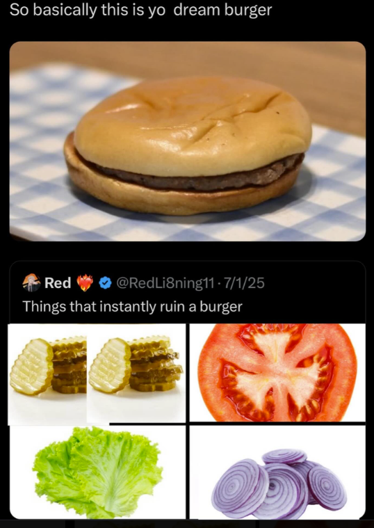 So basically this is yo dream burger Red @RedLi8ning11-7/1/25 Things that instantly ruin a burger