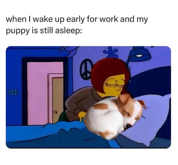 when I wake up early for work and my puppy is still asleep: