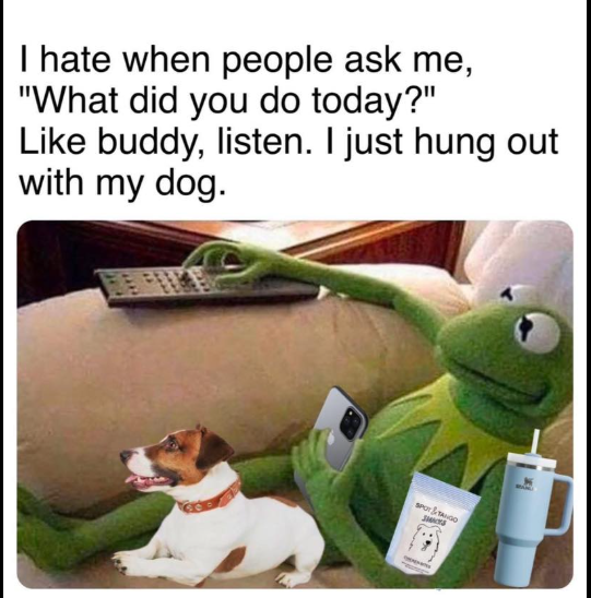 I hate when people ask me, "What did you do today?" Like buddy, listen. I just hung out with my dog. SPOT&TANGO