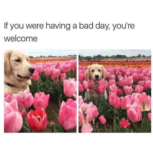 If you were having a bad day, you're welcome