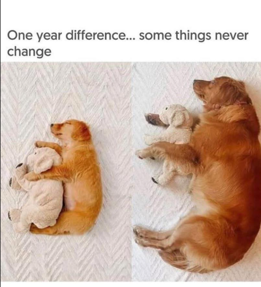 One year difference... some things never change