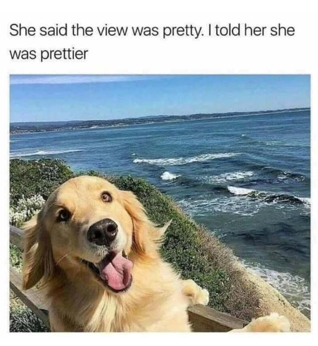 She said the view was pretty. I told her she was prettier
