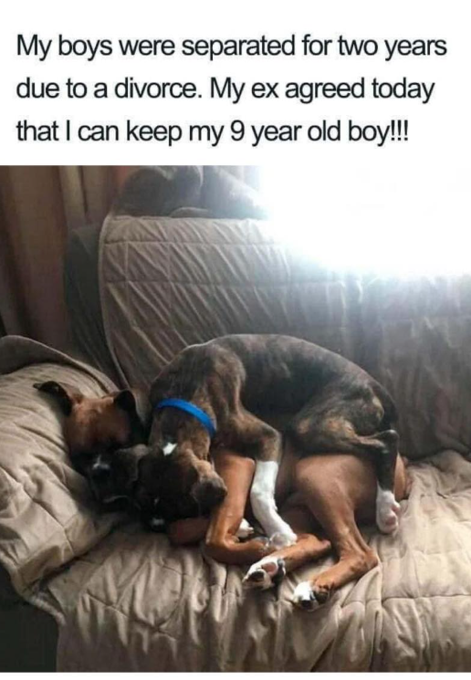 My boys were separated for two years due to a divorce. My ex agreed today that I can keep my 9 year old boy!!!