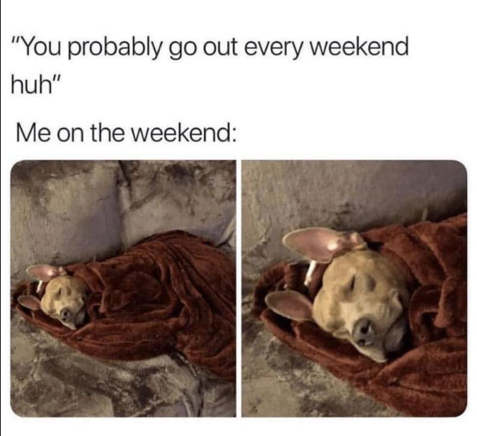 "You probably go out every weekend huh" Me on the weekend: