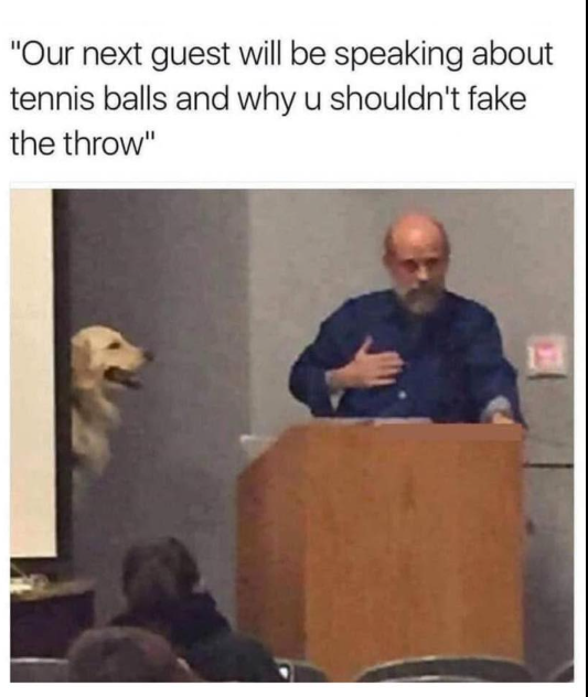 "Our next guest will be speaking about tennis balls and why u shouldn't fake the throw"