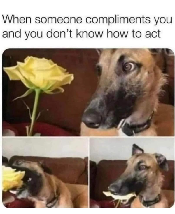 When someone compliments you and you don't know how to act