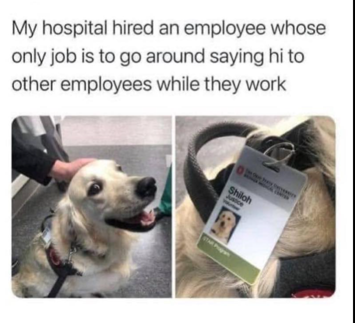 My hospital hired an employee whose only job is to go around saying hi to other employees while they work The Doe Bay Dever Shiloh Justice STAR Progra