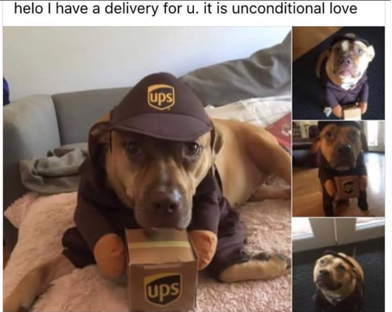 helo I have a delivery for u. it is unconditional love ups ups ups