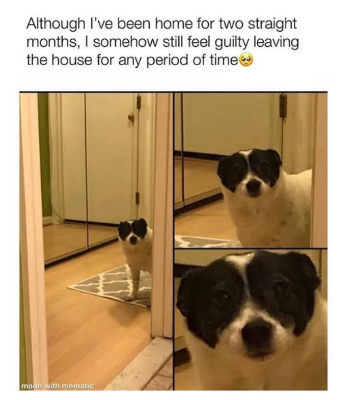 Although I've been home for two straight months, I somehow still feel guilty leaving the house for any period of time made with mematic