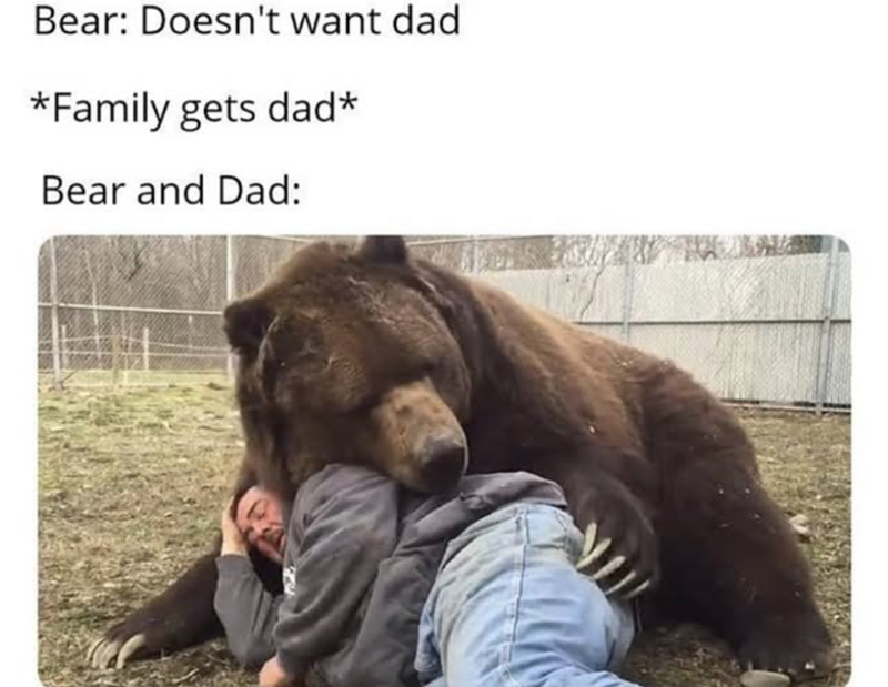 Bear: Doesn't want dad *Family gets dad* Bear and Dad: