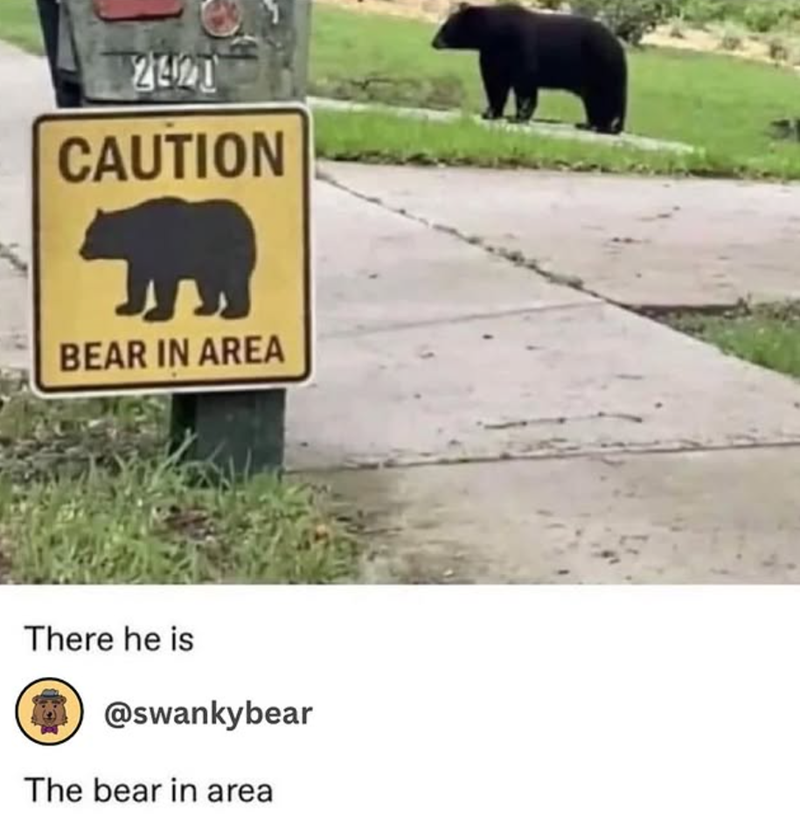 המ24 CAUTION BEAR IN AREA There he is @swankybear The bear in area