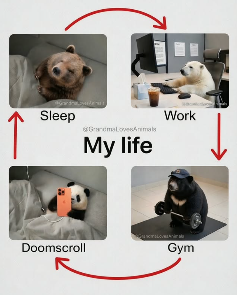 @GrandmaLovesAnimals Sleep @GrandmaLovesAnimals My life @Grandiostoves Animals Work Doomscroll GrandmaLovesAnimals Gym