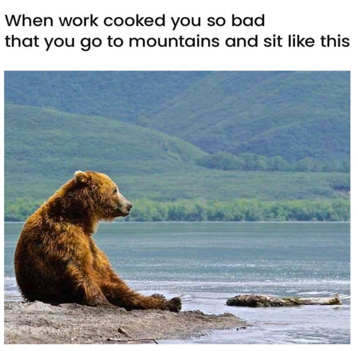 When work cooked you so bad that you go to mountains and sit like this