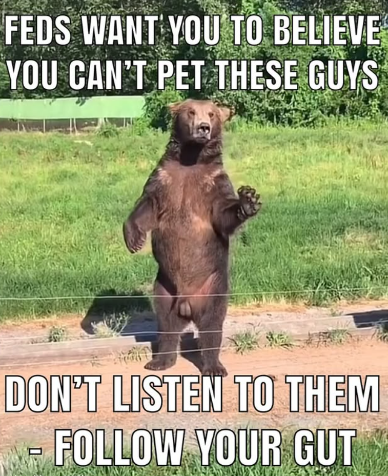 FEDS WANT YOU TO BELIEVE YOU CAN'T PET THESE GUYS DON'T LISTEN TO THEM ㅁ FOLLOW YOUR GUT