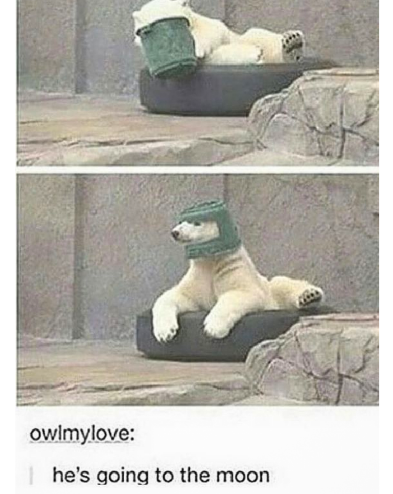 owlmylove: he's going to the moon