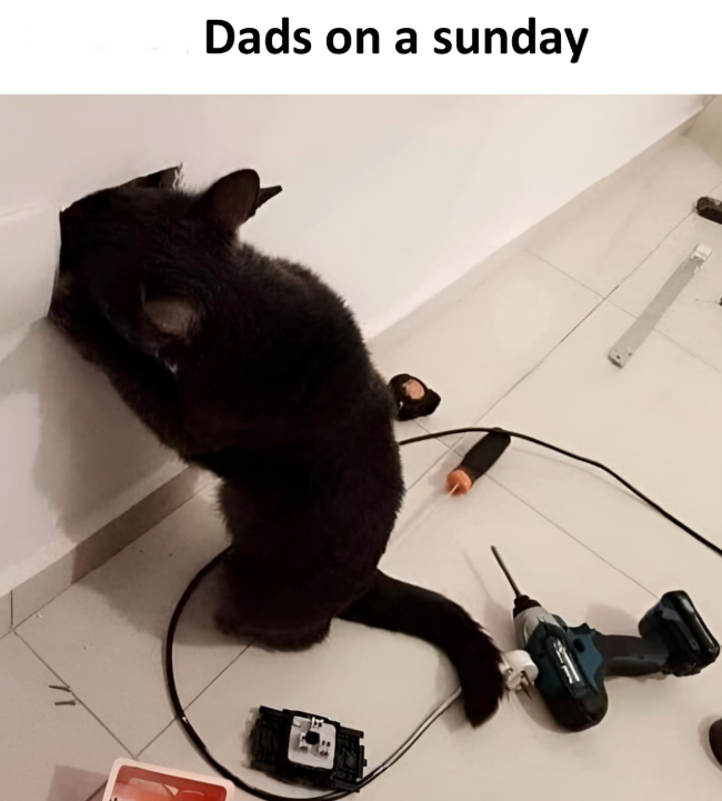 Dads on a sunday 14