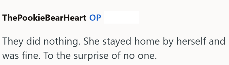 ThePookieBearHeart OP They did nothing. She stayed home by herself and was fine. To the surprise of no one.