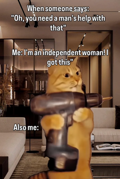 When someone says: "Oh, you need a man's help with that" Me: I'm an independent woman!! got this" Also me: