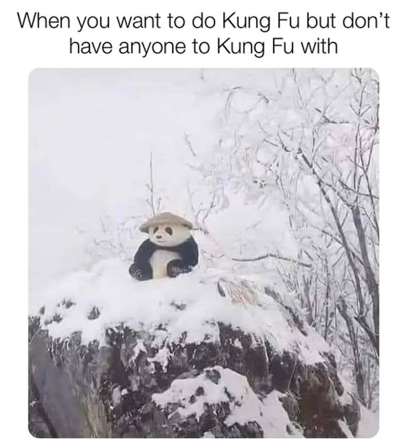 When you want to do Kung Fu but don't have anyone to Kung Fu with
