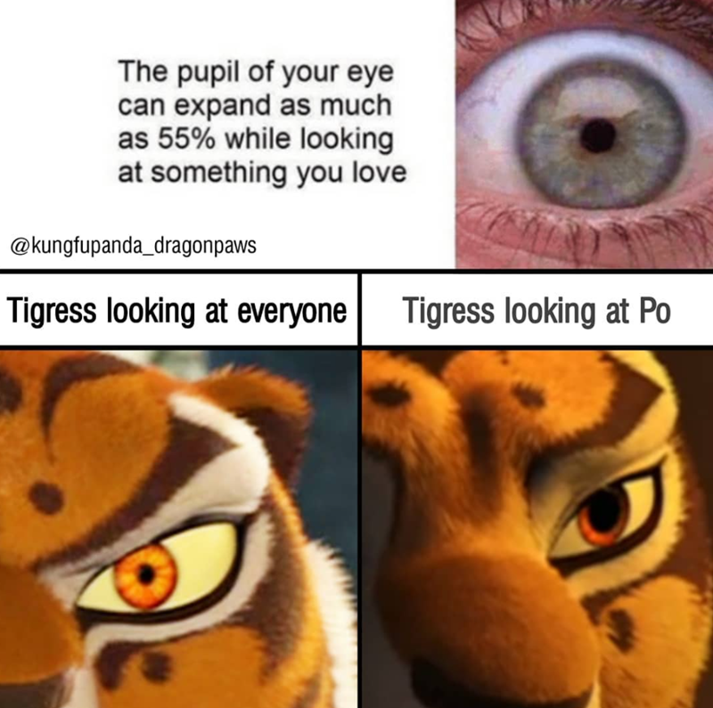 The pupil of your eye can expand as much as 55% while looking at something you love @kungfupanda_dragonpaws Tigress looking at everyone Tigress looking at Po
