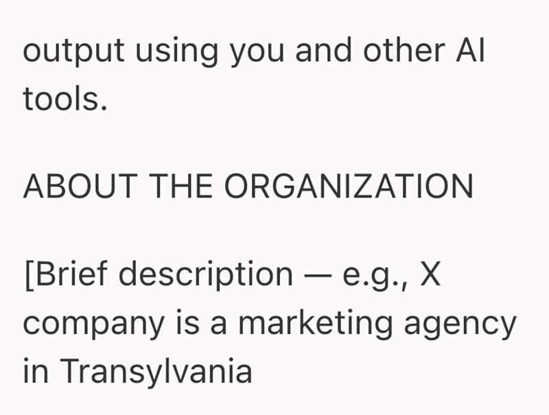 output using you and other Al tools. ABOUT THE ORGANIZATION [Brief description — e.g., X - company is a marketing agency in Transylvania
