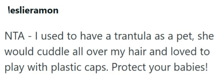 leslieramon NTA - I used to have a trantula as a pet, she would cuddle all over my hair and loved to play with plastic caps. Protect your babies!