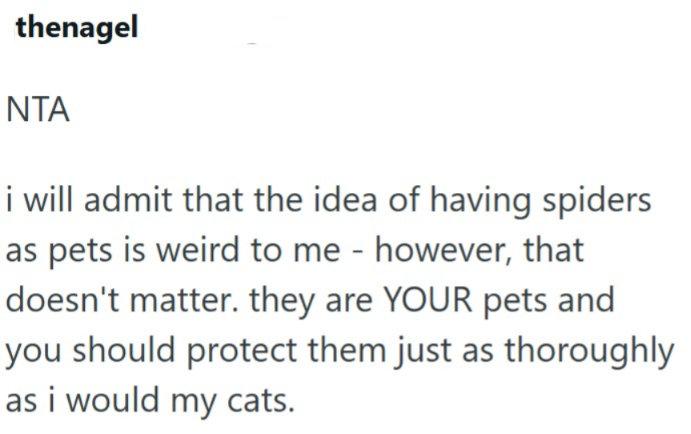 thenagel NTA i will admit that the idea of having spiders as pets is weird to me - however, that doesn't matter. they are YOUR pets and you should protect them just as thoroughly as i would my cats.