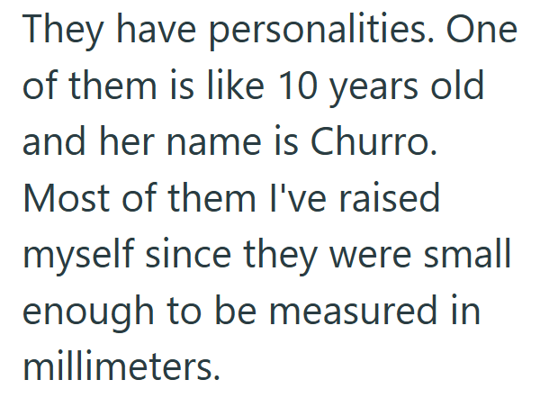 They have personalities. One of them is like 10 years old. and her name is Churro. Most of them I've raised myself since they were small enough to be measured in millimeters.