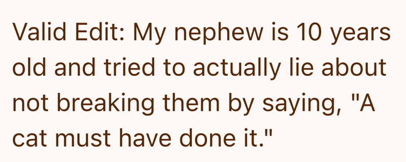 Valid Edit: My nephew is 10 years old and tried to actually lie about not breaking them by saying, "A cat must have done it."