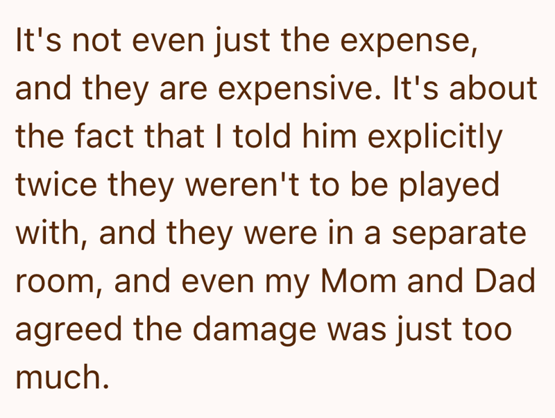 It's not even just the expense, and they are expensive. It's about the fact that I told him explicitly twice they weren't to be played with, and they were in a separate room, and even my Mom and Dad agreed the damage was just too much.