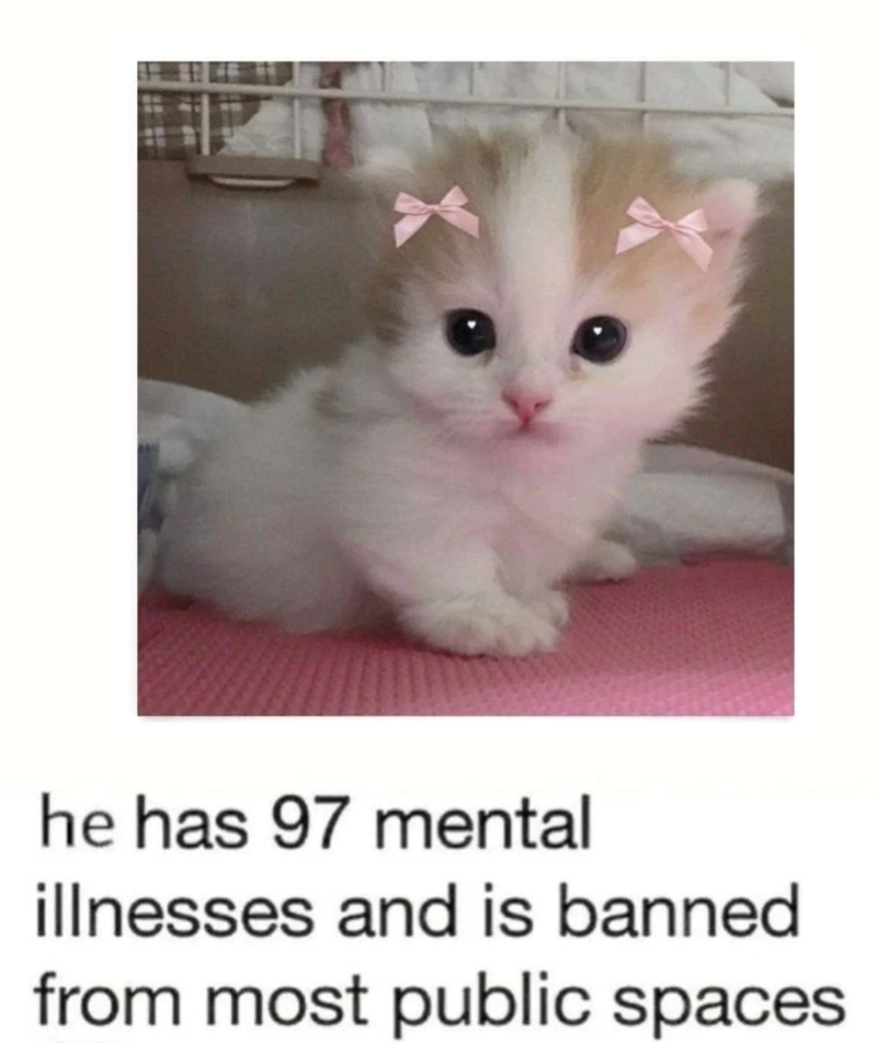 he has 97 mental illnesses and is banned from most public spaces