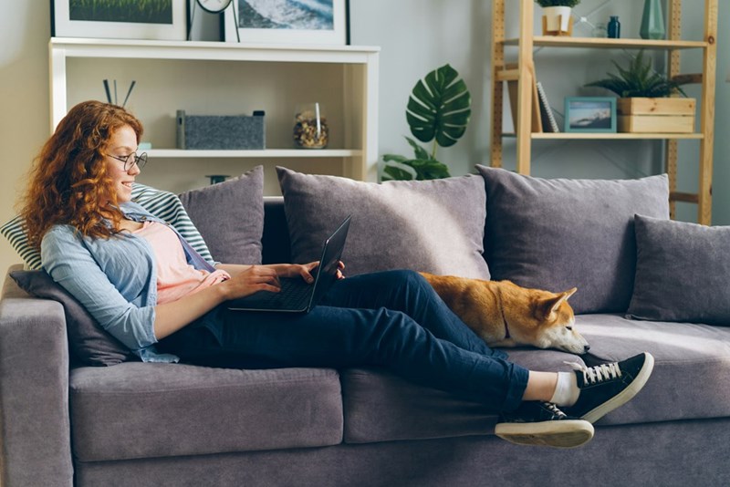 Employee concentrates on remote work with her Shiba Inu by her side.