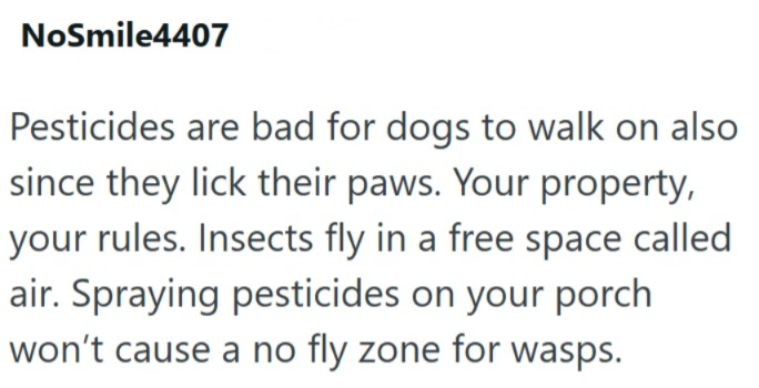 NoSmile4407 Pesticides are bad for dogs to walk on also since they lick their paws. Your property, your rules. Insects fly in a free space called air. Spraying pesticides on your porch won't cause a no fly zone for wasps.