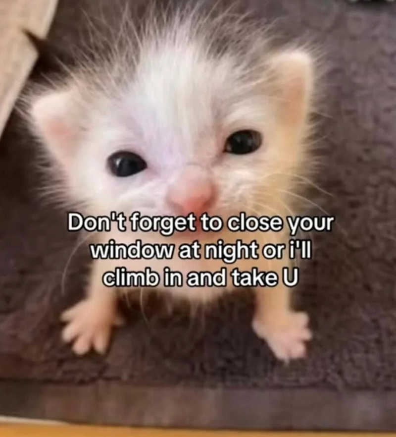 Don't forget to close your window at night or i'll climb in and take U