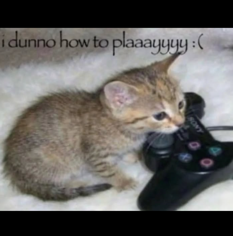 idunno how to plaaayyyy :( SONY
