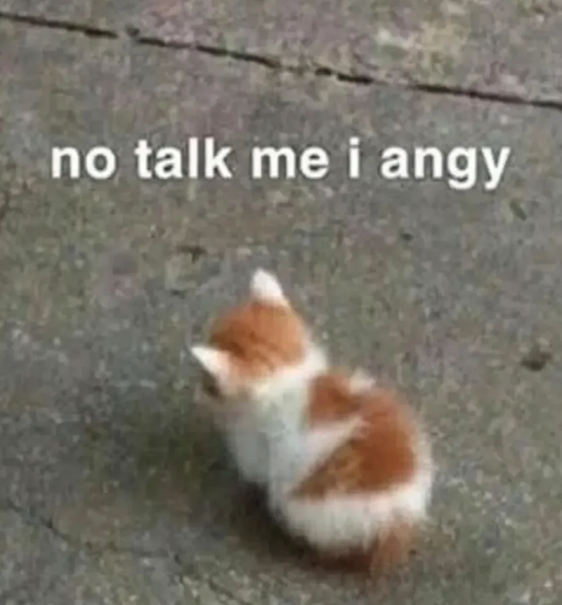 no talk me i angy