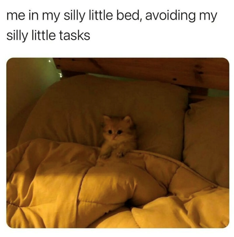 me in my silly little bed, avoiding my silly little tasks