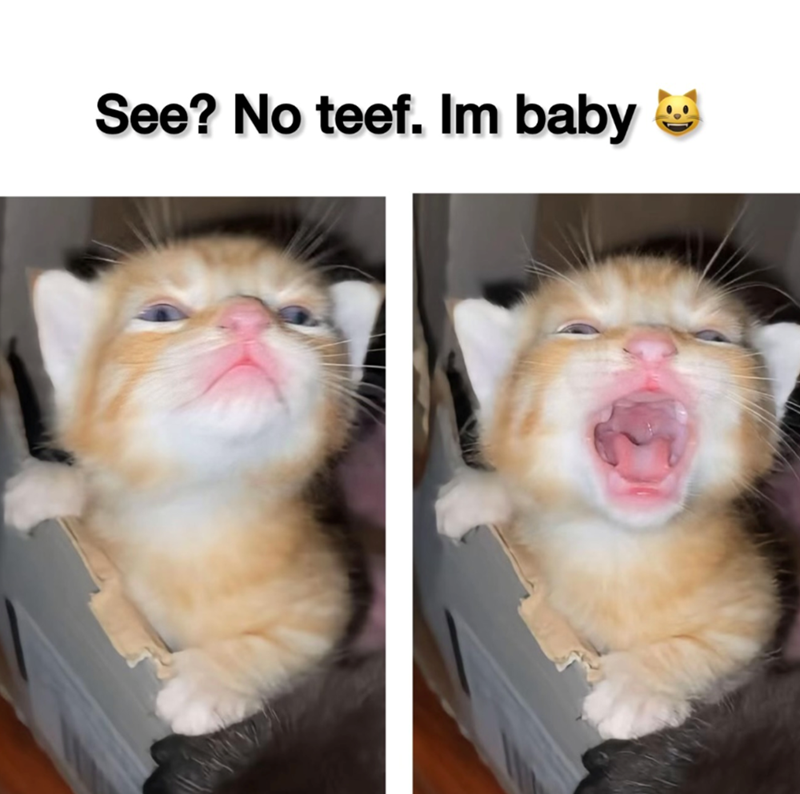 See? No teef. Im baby