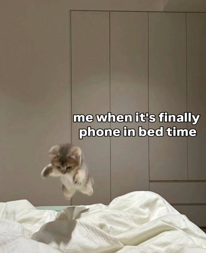 me when it's finally phone in bed time