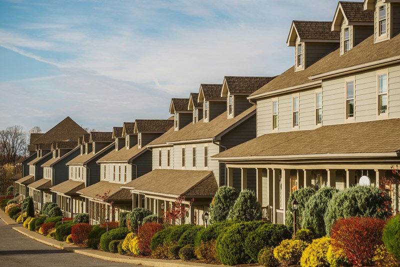 A quiet residential area with red, green, and yellow bushes.