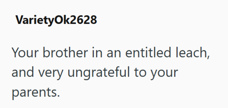 VarietyOk2628 Your brother in an entitled leach, and very ungrateful to your parents.