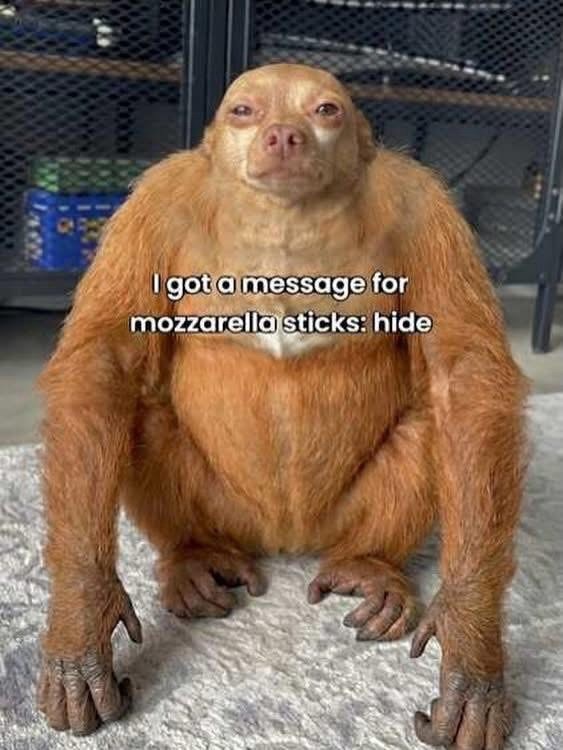 I got a message for mozzarella sticks: hide