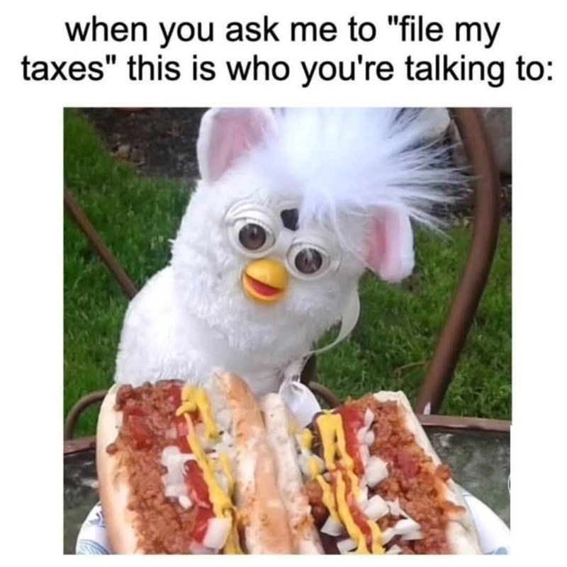when you ask me to "file my taxes" this is who you're talking to: