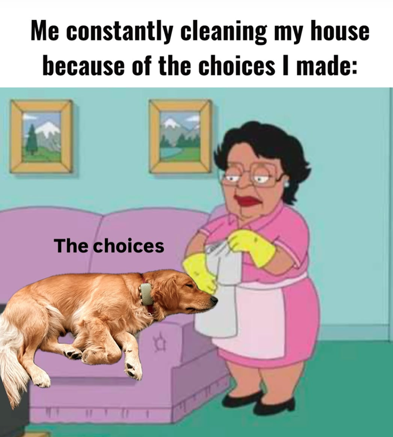 Me constantly cleaning my house because of the choices I made: The choices