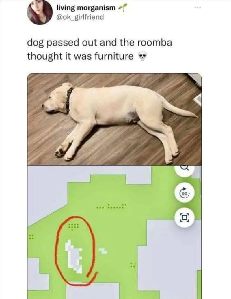 living morganism @ok_girlfriend dog passed out and the roomba thought it was furniture ❤ 5 (90; 0