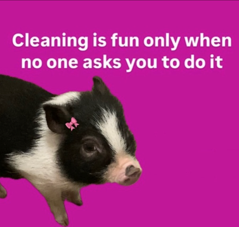 Cleaning is fun only when no one asks you to do it