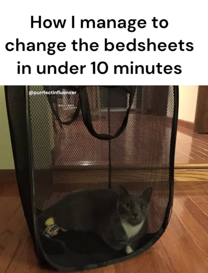 How I manage to change the bedsheets in under 10 minutes @purrfectinfluencer