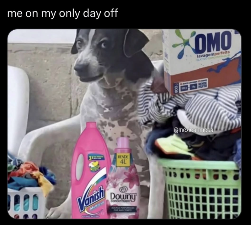 me on my only day off RENDE 4L 00 Vanish Multiusa Downy ConcenTARDO HOUPA MADAR OMO lavagemperfeita GLATIVO CONCENTRADOR mexicanmesa