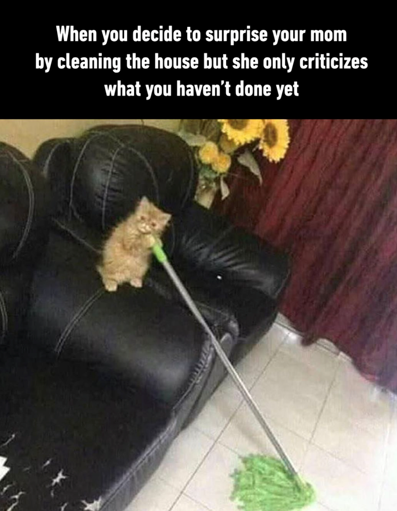 When you decide to surprise your mom by cleaning the house but she only criticizes what you haven't done yet